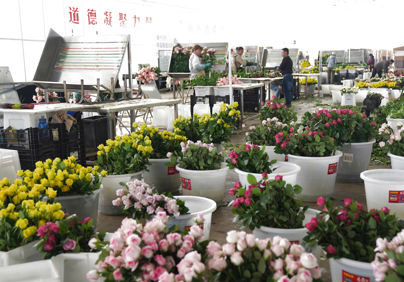 新的偉大奮斗創(chuàng)造新的歷史偉業(yè)——以習(xí)近平同志為核心的黨中央引領(lǐng)“十四五”經(jīng)濟(jì)社會(huì)發(fā)展紀(jì)實(shí)